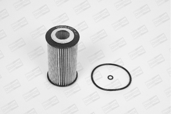 Oil Filter (XE507/606)