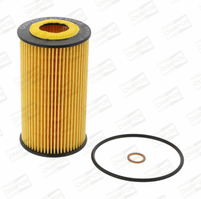 Oil Filter (COF100518E)