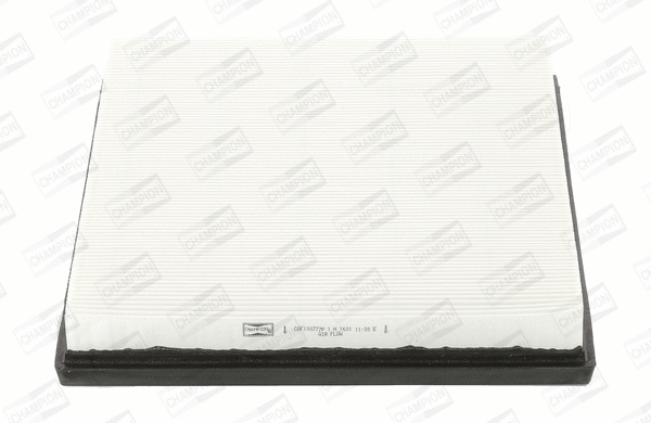 Air Filter (CAF100777P)