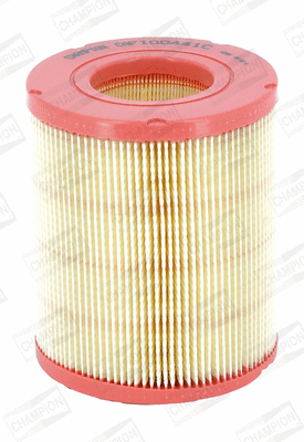 Air Filter (CAF100441C)