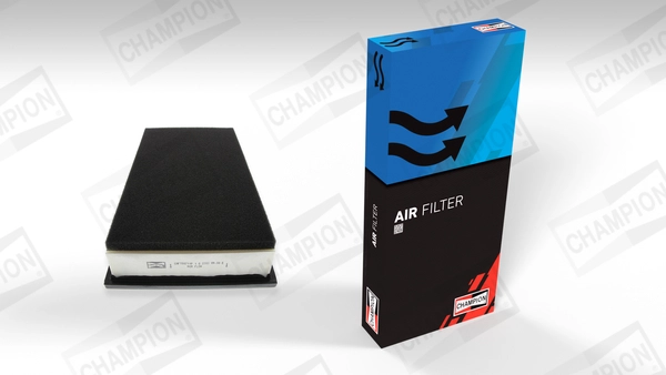 Air Filter (CAF100711P)