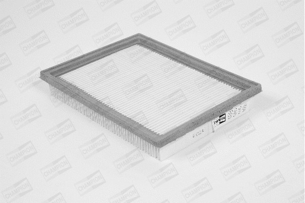 Air Filter (U810/606)