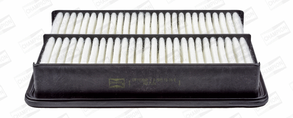 Air Filter (CAF101026P)