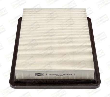 Air Filter (CAF100947P)