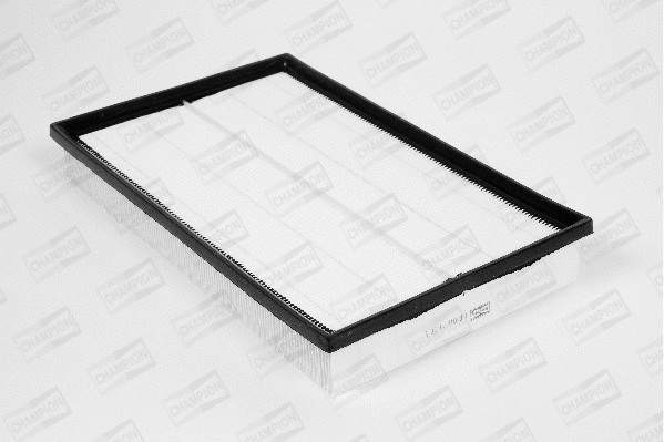 Air Filter (U883/606)