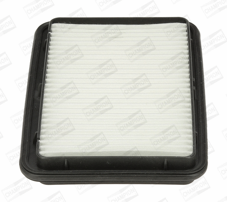 Air Filter (CAF100965P)