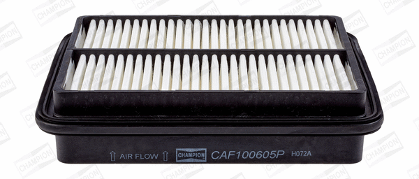 Air Filter (CAF100605P)