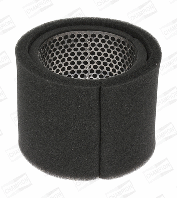Air Filter (CAF100117R)