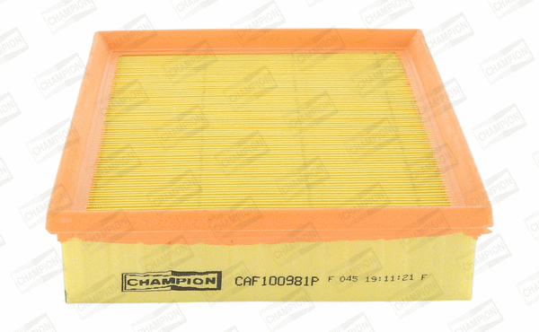 Air Filter (CAF100981P)