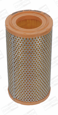 Air Filter (CAF100430C)