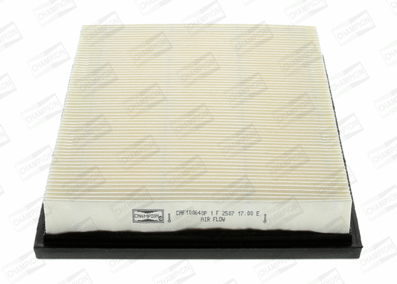 Air Filter (CAF100640P)