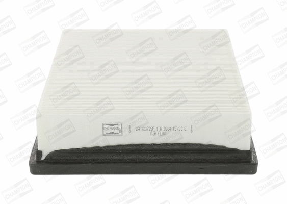 Air Filter (CAF100729P)