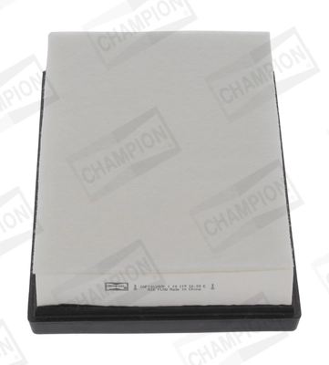 Air Filter (CAF101240P)