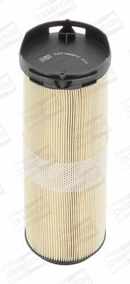 Air Filter (CAF100461C)