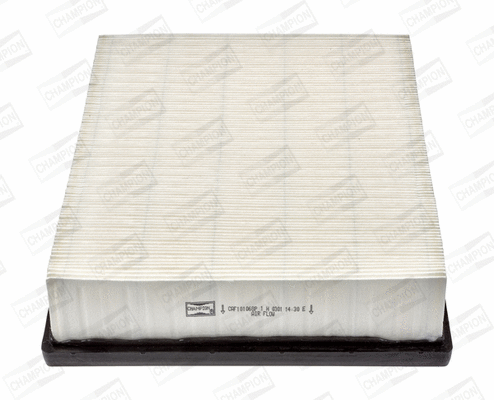 Air Filter (CAF101068P)