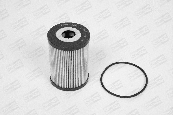 Oil Filter (XE569/606)