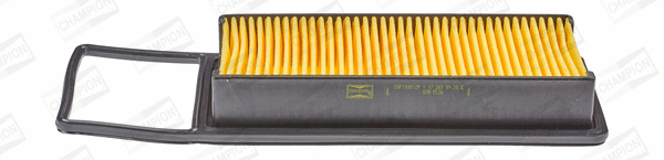 Air Filter (CAF100812P)