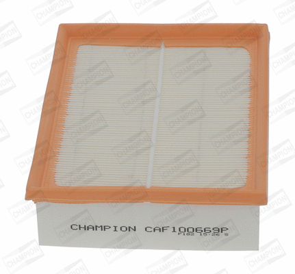 Air Filter (CAF100669P)