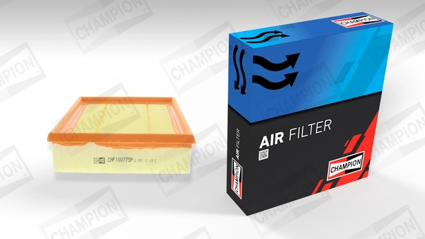 Air Filter (CAF100775P)