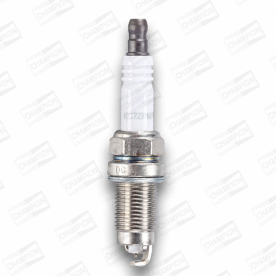Spark Plug (Z9Y)