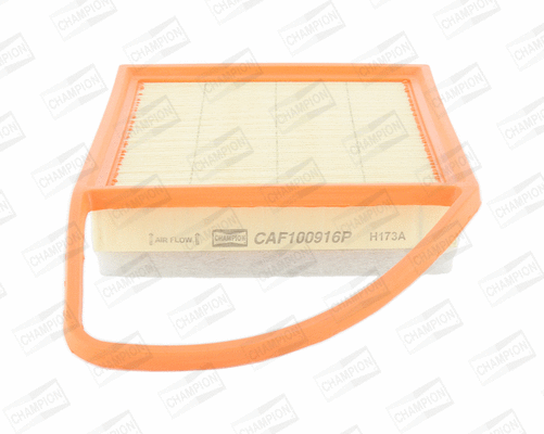 Air Filter (CAF100916P)