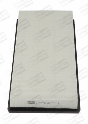 Air Filter (CAF100772P)
