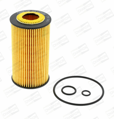 Oil Filter (COF100508E)