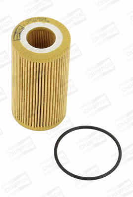 Oil Filter (COF100562E)