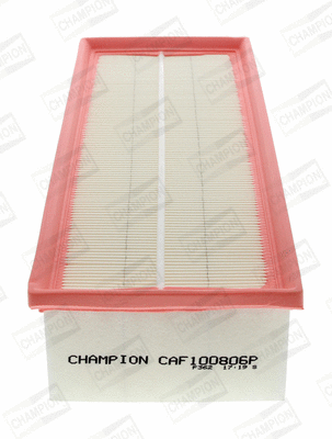 Air Filter (CAF100806P)