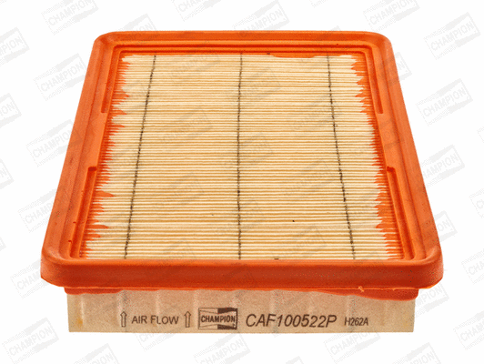 Air Filter (CAF100522P)
