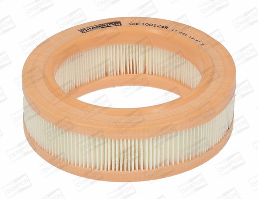 Air Filter (CAF100124R)