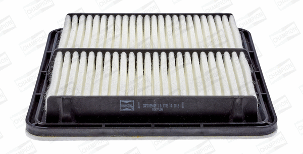 Air Filter (CAF100944P)