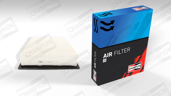 Air Filter (CAF100688P)