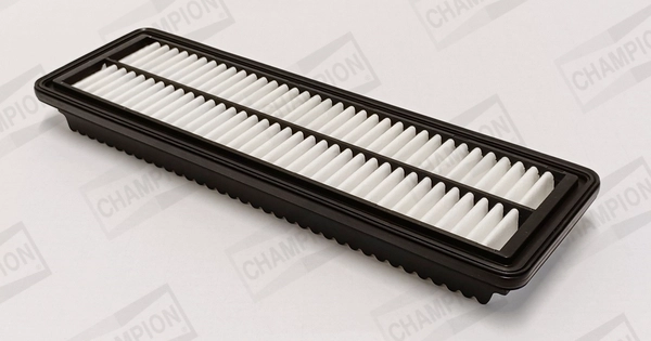 Air Filter (CAF101200P)