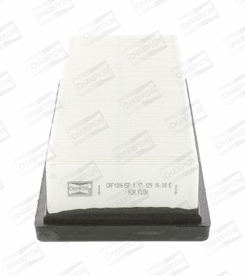 Air Filter (CAF100615P)