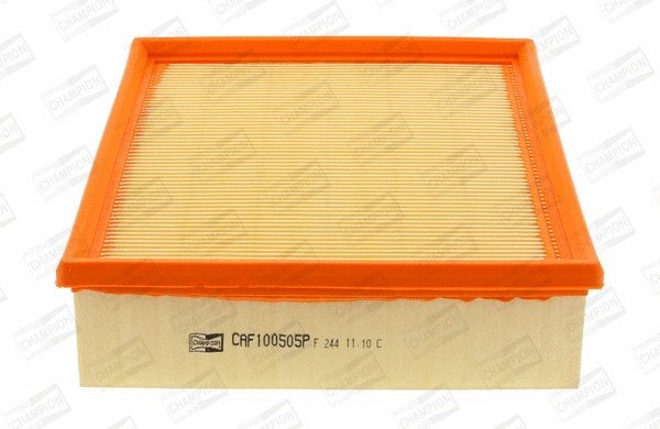 Air Filter (CAF100505P)