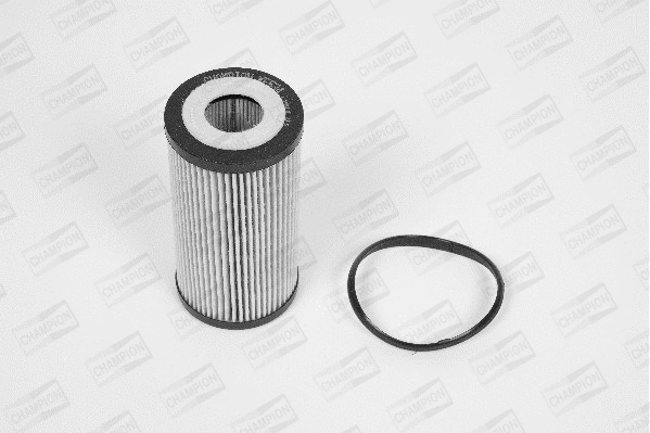 Oil Filter (XE534/606)