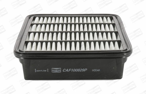 Air Filter (CAF100829P)