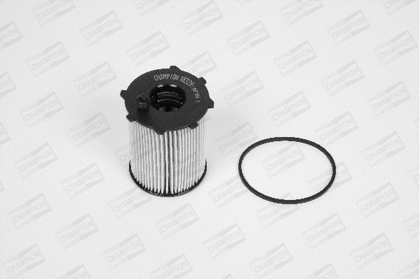 Oil Filter (XE529/606)