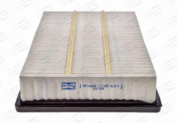 Air Filter (CAF100865P)