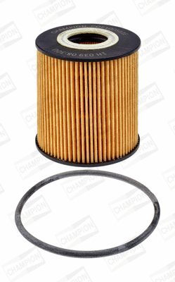 Oil Filter (COF100511E)