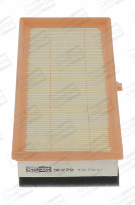 Air Filter (CAF101215P)