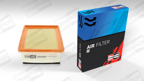 Air Filter (CAF100752P)