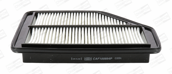 Air Filter (CAF100894P)