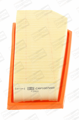 Air Filter (CAF100729R)