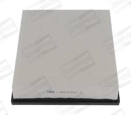 Air Filter (CAF101303P)