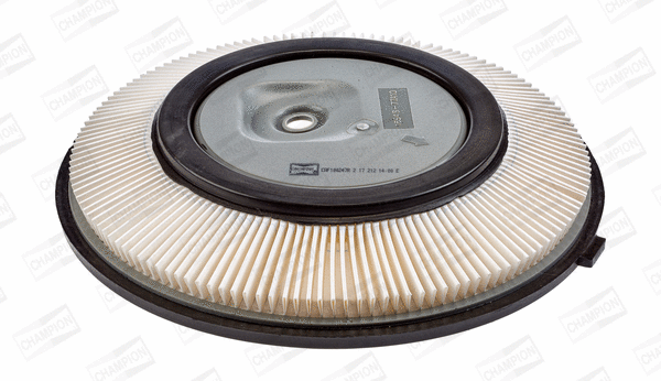 Air Filter (CAF100247R)