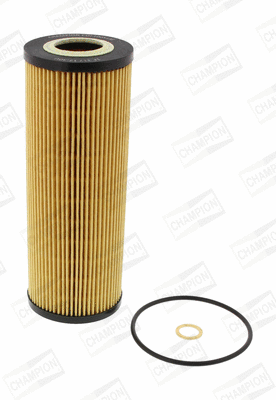 Oil Filter (COF100513E)