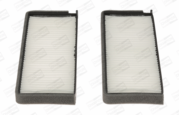 Filter, cabin air (CCF0111)