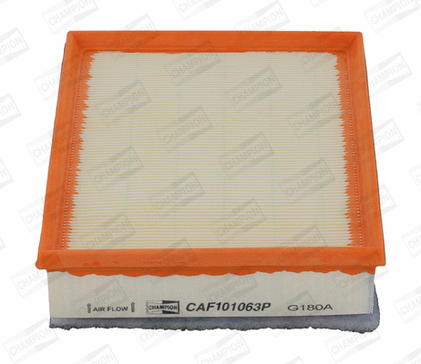 Air Filter (CAF101063P)